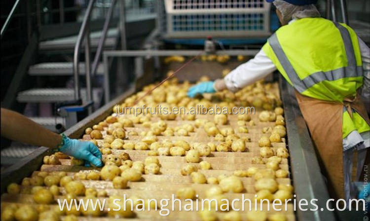 Potato sorting platform